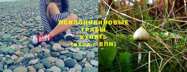 спайс Новозыбков